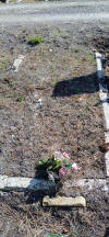 Unknown6.jpg (8387574 bytes)