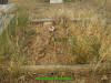 Unknown3.jpg (708758 bytes)