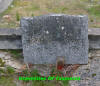 Unknown2.jpg (218305 bytes)