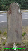 Unknown4.jpg (194863 bytes)