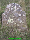 Unknown 21.JPG (768078 bytes)