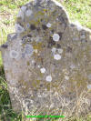 Unknown 23.JPG (742012 bytes)