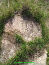 Unknown 36.JPG (933057 bytes)