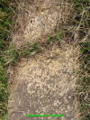 Unknown 6.JPG (846922 bytes)