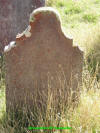 Unknown 7.JPG (645377 bytes)