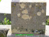 Unknown 18.JPG (380661 bytes)