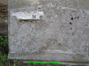 Unknown 1.JPG (510415 bytes)