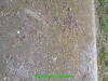 Unknown 23.JPG (511696 bytes)