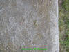 Unknown 27.JPG (419636 bytes)