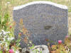 Unknown 17.JPG (248664 bytes)