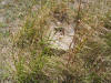Unknown 21.JPG (298705 bytes)