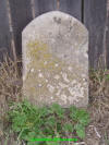 Unknown 1.JPG (591110 bytes)