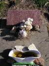 Unknown 2.jpg (773376 bytes)