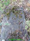 Unknown.jpg (716262 bytes)