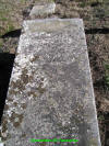 Unknown5.jpg (682431 bytes)