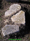 Unknown6.jpg (688384 bytes)