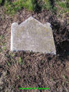 Unknown7.jpg (780721 bytes)