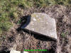 Unknown.jpg (780983 bytes)